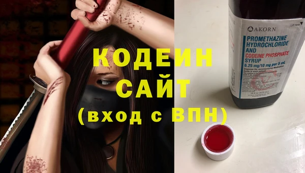 прущие грибы Богданович