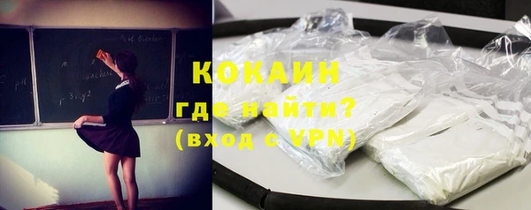 молекула духа Бородино