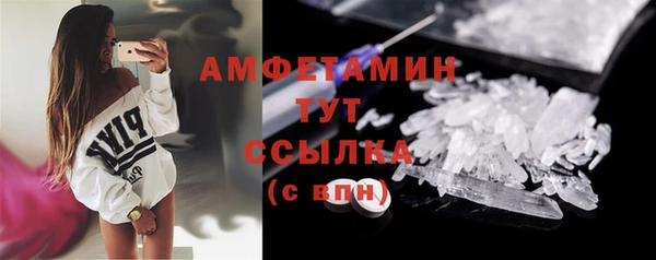 прущие грибы Богданович