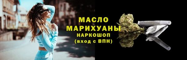 молекула духа Бородино