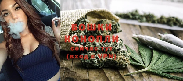 прущие грибы Богданович