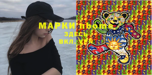 прущие грибы Богданович