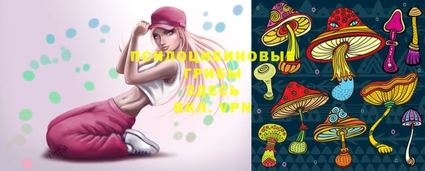 mdma Богородск