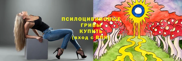 ALPHA-PVP Бугульма