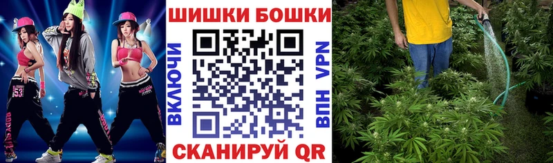 наркотики  Городовиковск  Бошки марихуана OG Kush 